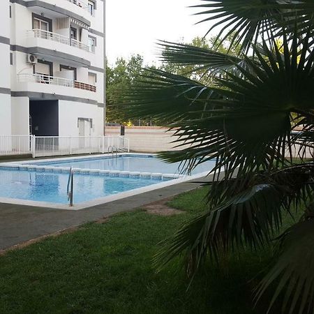 Appartement Avec Piscine San Vicente Raspeig Ngoại thất bức ảnh